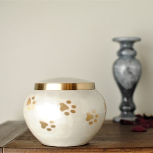 Cute Golden Paws : Pet Ashes Cremation Urn | Pearl White Pet Urn | Dog Urn | Cat Urn | Handcrafted Round Shape Pet Urn | 6&quot; X 4.6&quot;