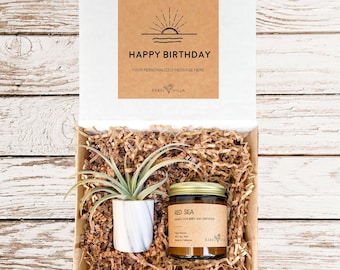 Happy Birthday Succulent Air Plant + Candle Gift Box | Bday Gift Basket | Custom Personalized Spa Relaxation Desk Present for friend