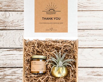 Thank You Gift Box | Co-Worker Gift for a Man or Woman | Gift for Employee | Appreciation Co-Worker | Succulent Air Plant with Soy Candle