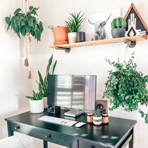 May include: A black desk with a computer monitor, keyboard, mouse, and two small speakers. There are plants and candles on the desk, and a shelf above the desk with more plants and decorative items.