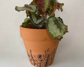 4.5 INCH Terra Cotta Pots- Hand Drawn Botanical Design