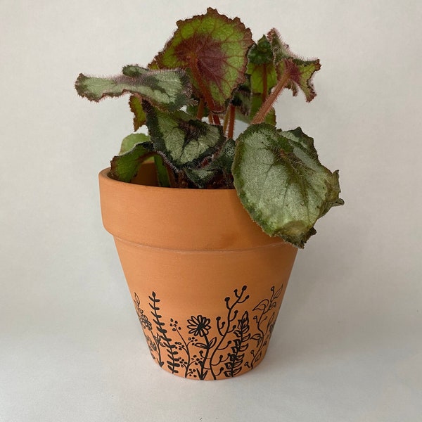 4.5 INCH Terra Cotta Pots- Hand Drawn Botanical Design