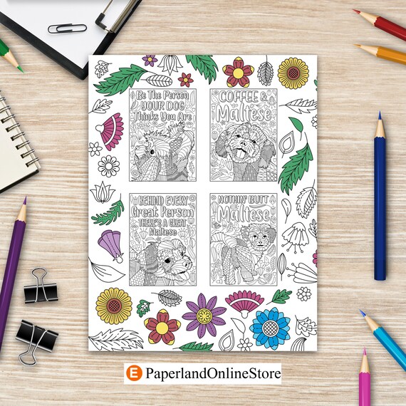 Nature Doodle Coloring Book: Coloring Book With Tear Out Sheets: Wonder  House Books: 9789388810562: : Books