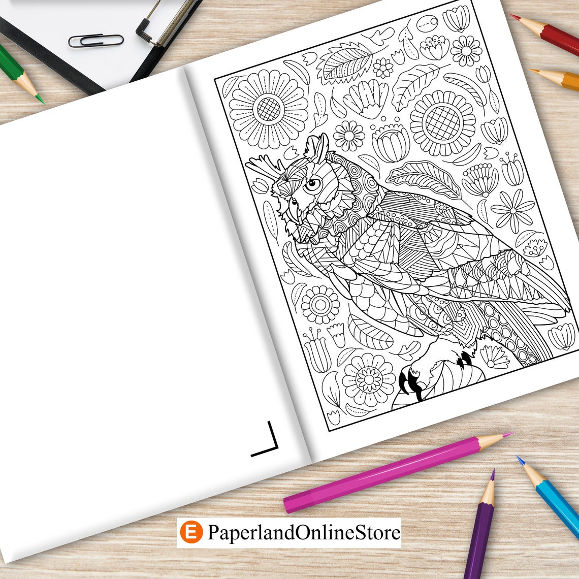 Owl Coloring Book Coloring Books for Adults Gifts for Owl | Etsy