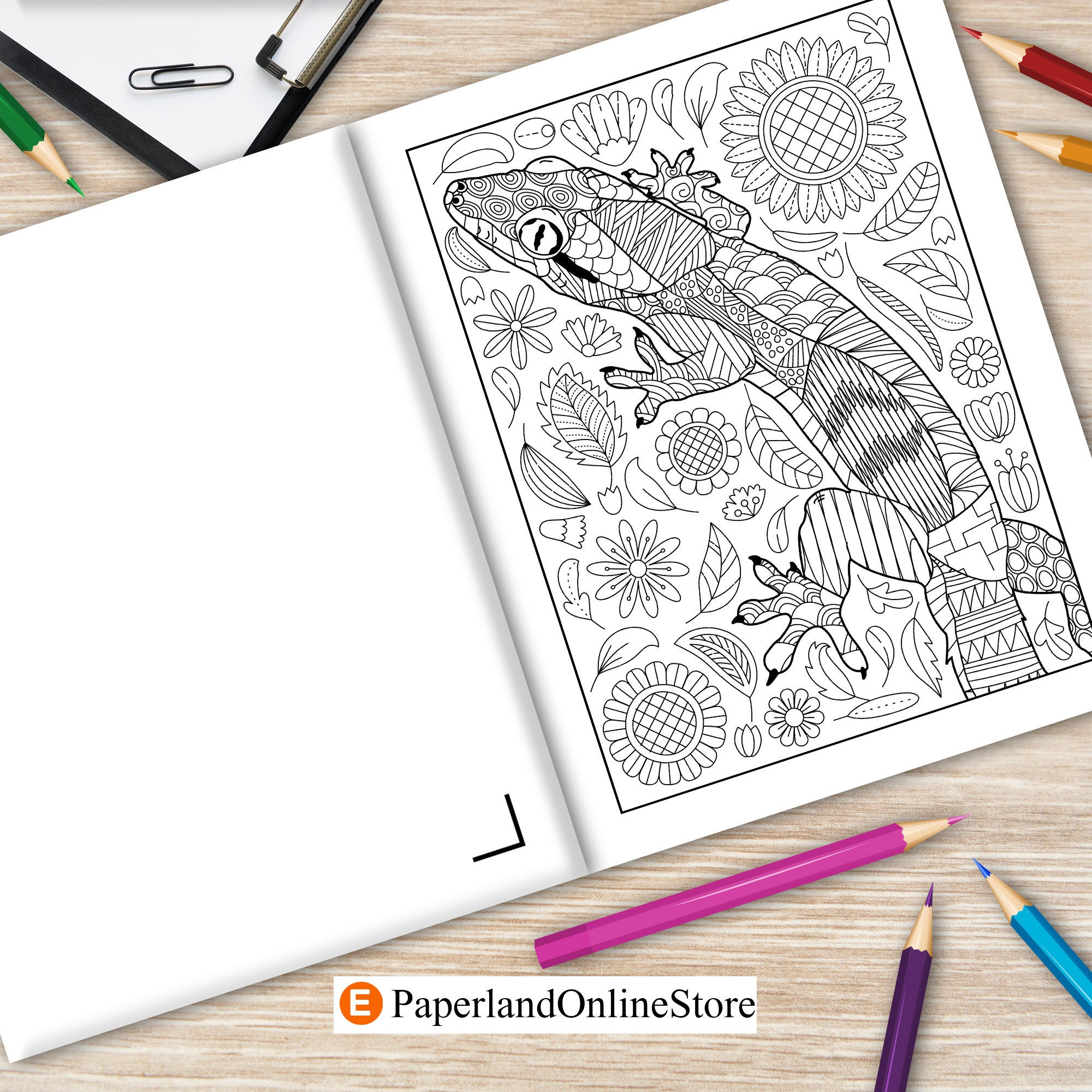 Lizard Vector Color Book Lizards Coloring Book, Coloring Books for Adults, Gift for Painting ...