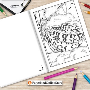 Ball Pythons Coloring Book, Coloring Books for Adults, Wildlife ...
