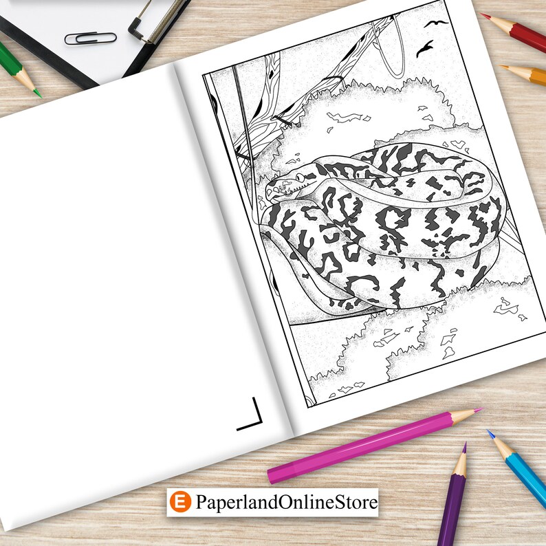 Ball Pythons Coloring Book Coloring Books for Adults - Etsy