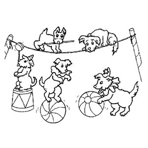 20 Circus Animals coloring pages for kids Kids coloring | Etsy