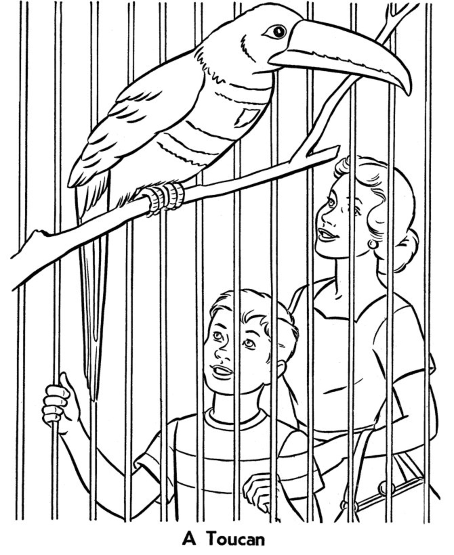 20 Zoo Animals Coloring Pages for Kids Kids Coloring Pages - Etsy Australia