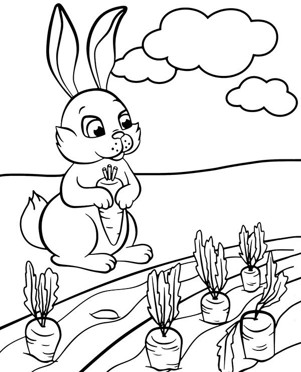 20 animal coloring pages for kids kids coloring pages etsy