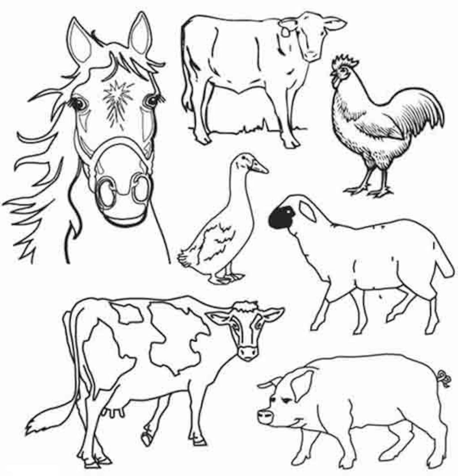 20 Bauernhof Tiere Malvorlagen für Kinder Kinder | Etsy