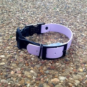 E-Collar Adjustable, Quick Release, Bungee Strap - 1&quot; - E-Collar Technologies