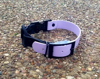 E-Collar Adjustable, Quick Release, Bungee Strap - 1&quot; - E-Collar Technologies