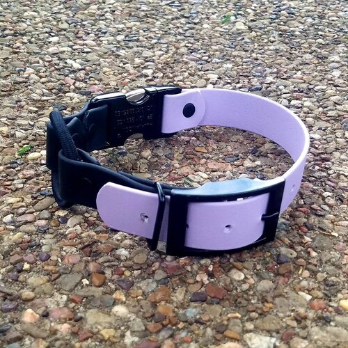 Ecollar Adjustable Quick Release Bungee Strap 1 Etsy