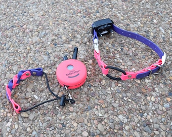 Educator bungee collar hotsell