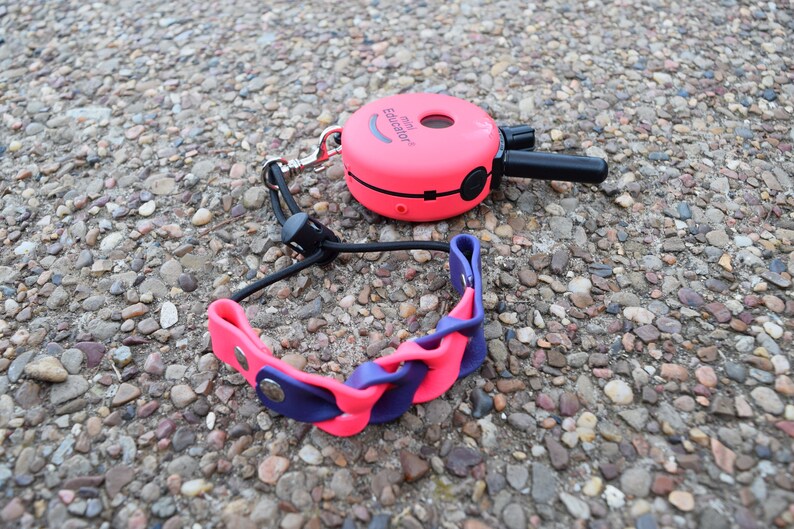 Ecollar Adjustable Quick Release Bungee Strap and Biothane Etsy