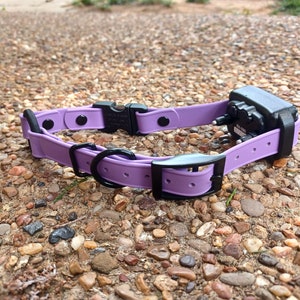 Thinner E-Collar Adjustable, Quick Release, Bungee Strap - 3/4&quot; - SportDog, Garmin, E-Collar Technologies, Dogtra