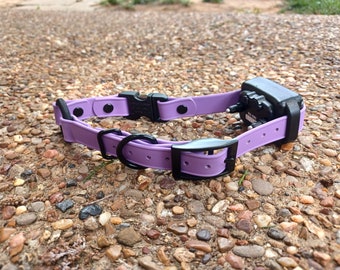 Thinner E-Collar Adjustable, Quick Release, Bungee Strap - 3/4&quot; - SportDog, Garmin, E-Collar Technologies, Dogtra