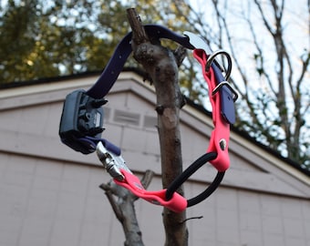 E-Collar Adjustable, Quick Release, Bungee Strap - 3/4&quot; - E-Collar Technologies