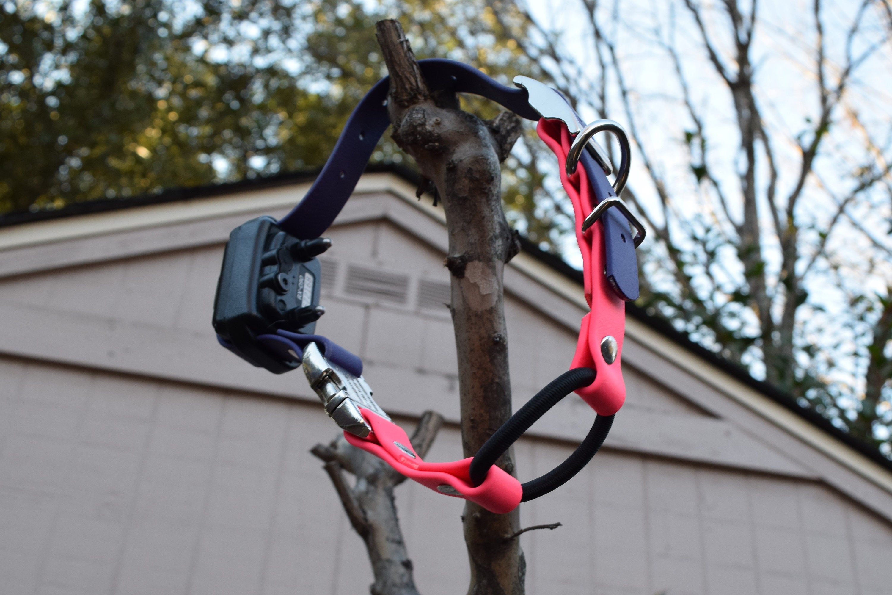 Bungee top dog collar