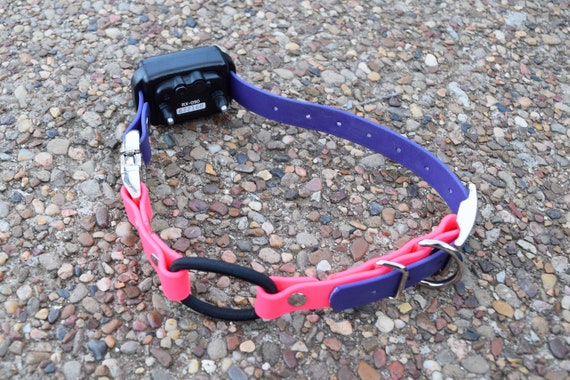 E collar technologies bungee collar discount
