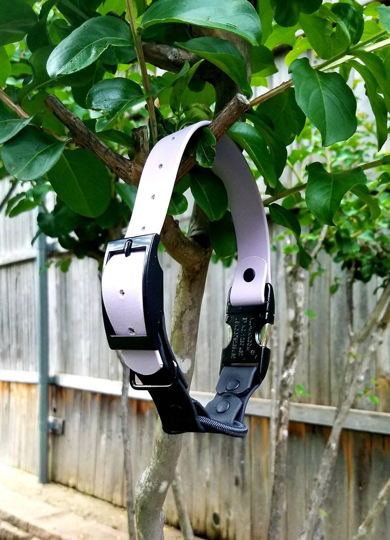 Ecollar Adjustable Quick Release Bungee Strap 1 Etsy