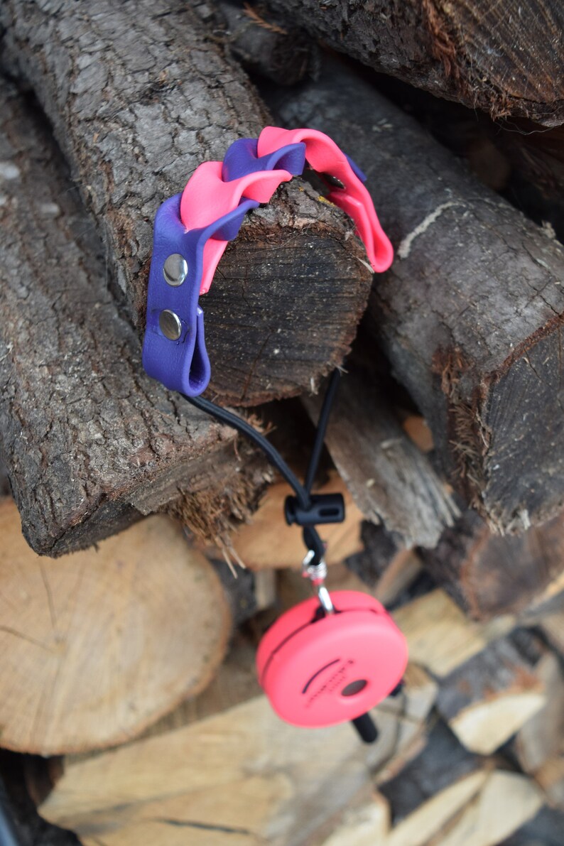 Ecollar Adjustable Quick Release Bungee Strap and Biothane Etsy