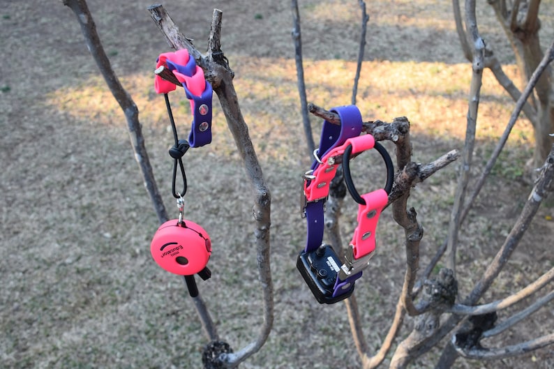 Ecollar Adjustable Quick Release Bungee Strap and Biothane Etsy UK