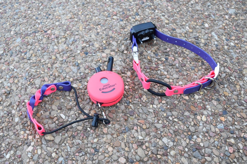 Ecollar Adjustable Quick Release Bungee Strap and Biothane Etsy UK