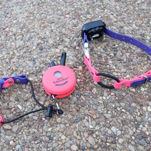 Peut inclure: Un système de dressage pour chien avec un collier rose et violet et une télécommande. Le collier est rose et violet avec une boucle noire. La télécommande est rose et porte l'inscription "mini Educator".