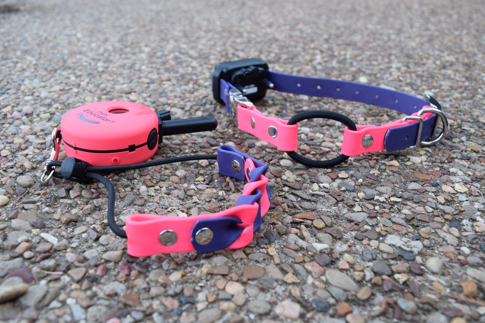 Ecollar Adjustable Quick Release Bungee Strap and Biothane Etsy