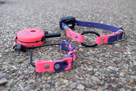 E collar Adjustable Quick Release Bungee Strap and Biothane E