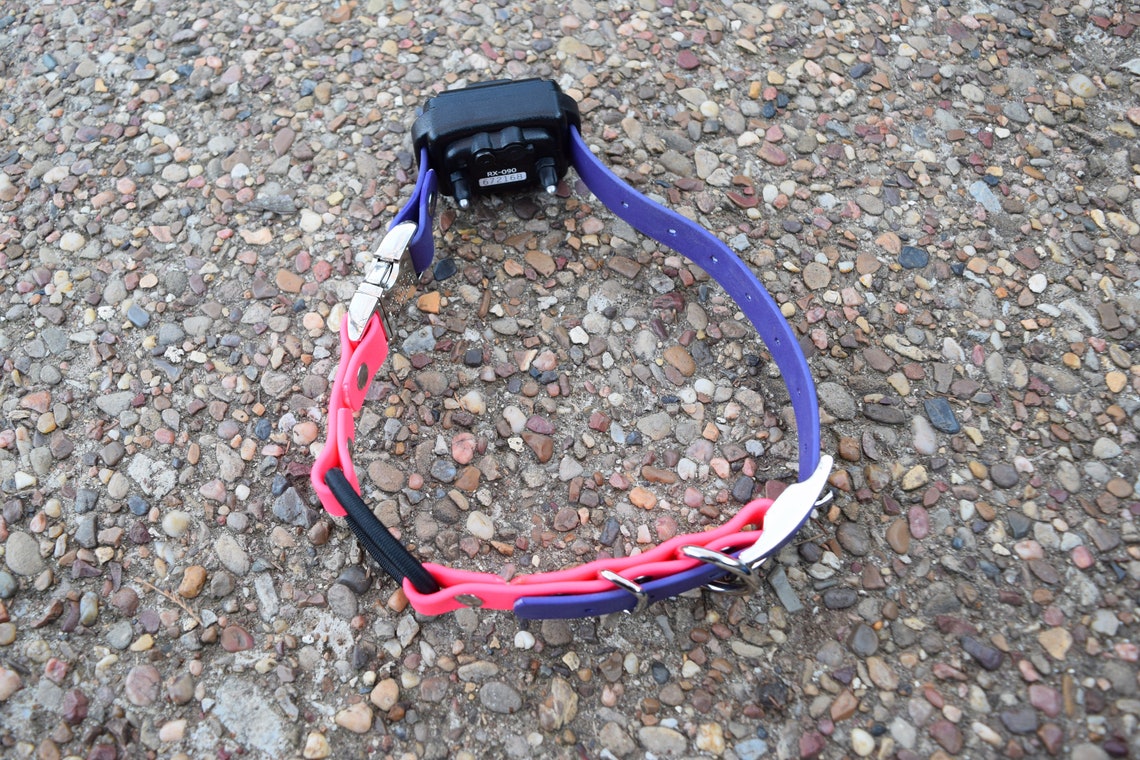 Ecollar Adjustable Quick Release Bungee Strap 3/4 Etsy