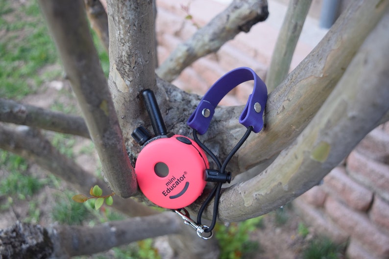 Ecollar Adjustable Quick Release Bungee Strap and Biothane Etsy