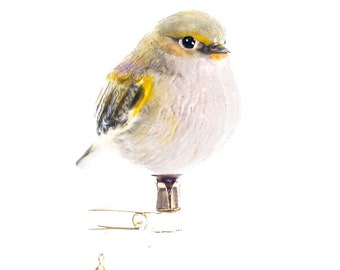 Handmade Glass Willow warbler Phylloscopus trochilus Piecuszek Clip on, Christmas Ornament, Collectible Bauble