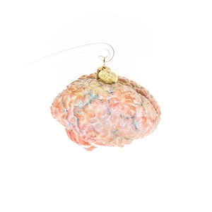 Glass Human Brain - Handmade, Glass Christmas Ornament, Made in polish Manufacture, Collectible Bauble