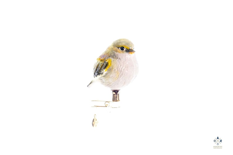 Handmade Glass Willow warbler Phylloscopus trochilus Piecuszek Clip on, Christmas Ornament, Collectible Bauble zdjęcie 1