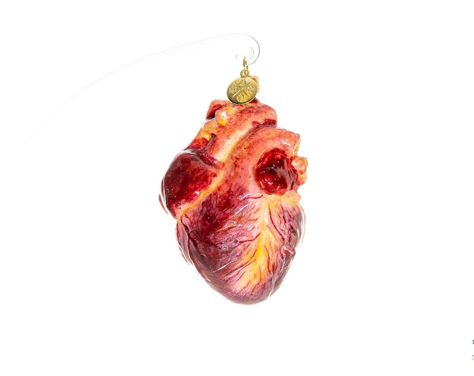 Anatomical Human Heart Ornament Etsy Canada