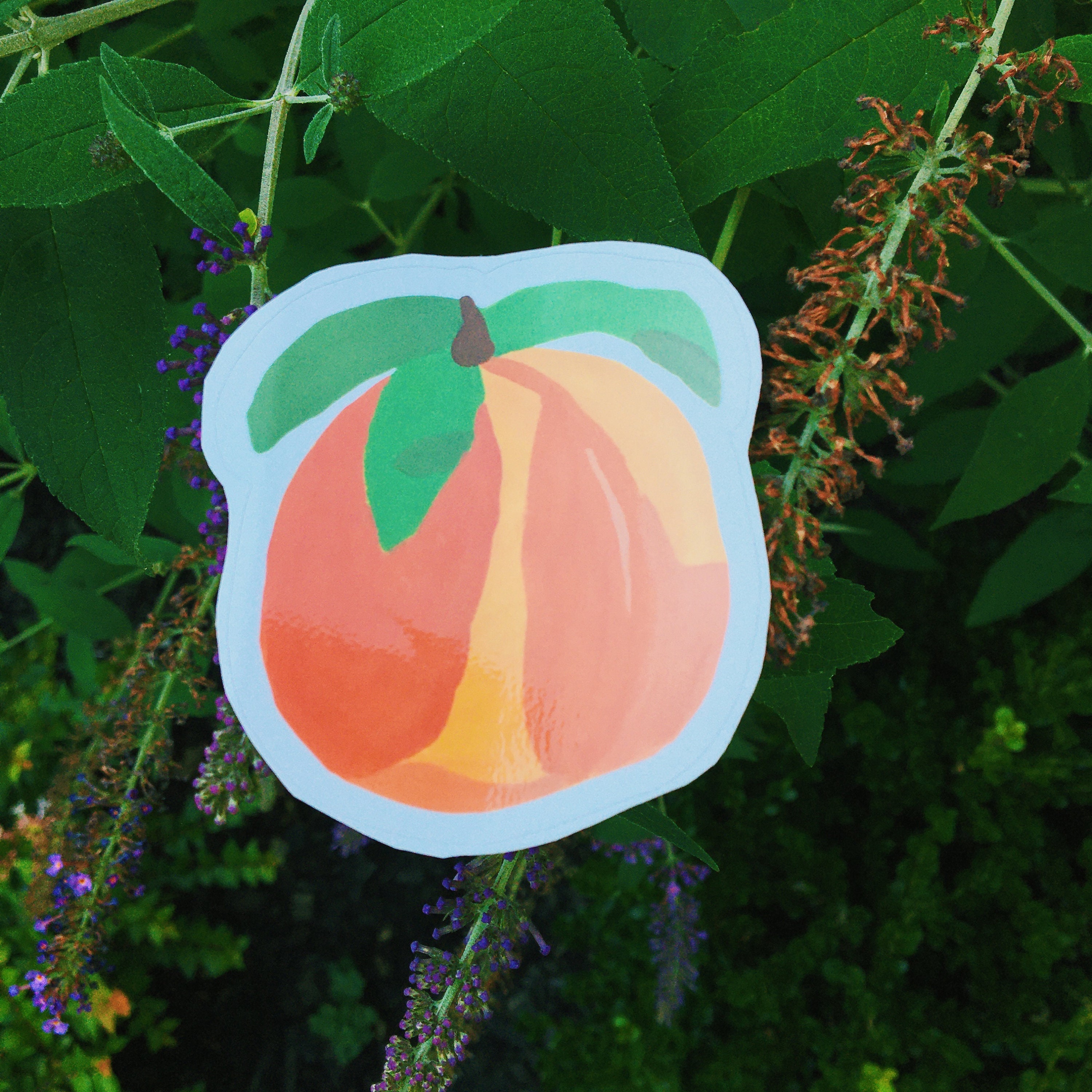 Peach Sticker, Summer Sticker, Aesthetic Sticker - Etsy