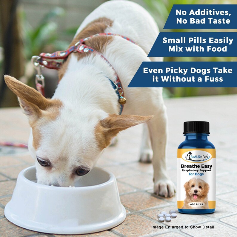 Breathe Easy Respiratory Support for Dogs Naturally Soothes Kennel Cough Chest Constriction