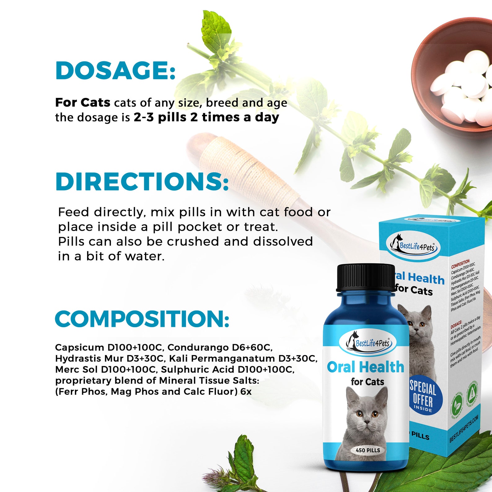 Oral Health for Cats Dental Treatment Stomatitis Degenerative Etsy.de