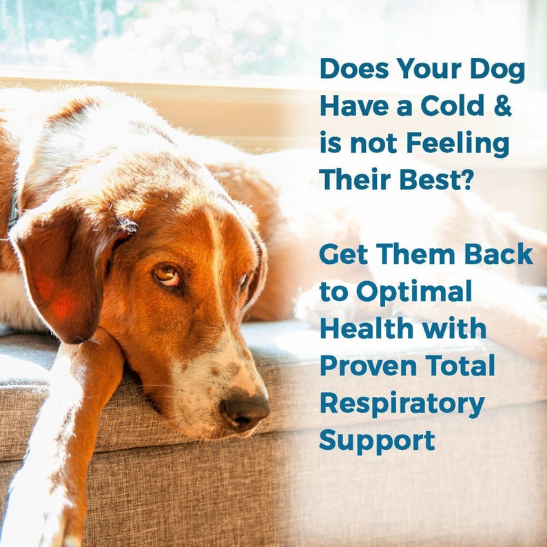 Breathe Easy Respiratory Support for Dogs Naturally Soothes Kennel