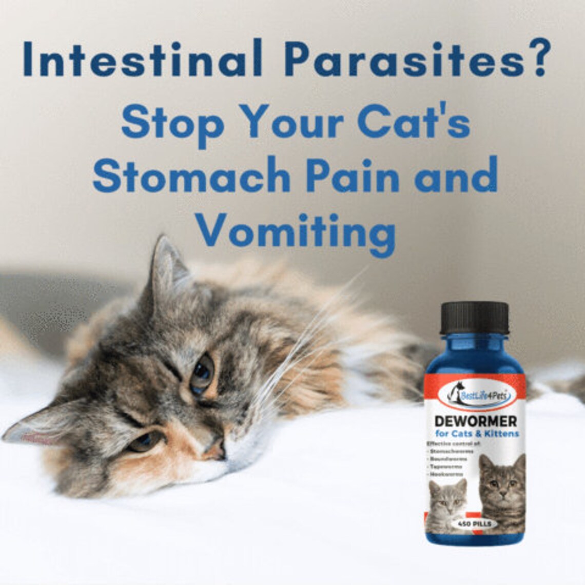 Dewormer for Cats and Kittens Broad Spectrum Feline Wormer Remedy Etsy UK