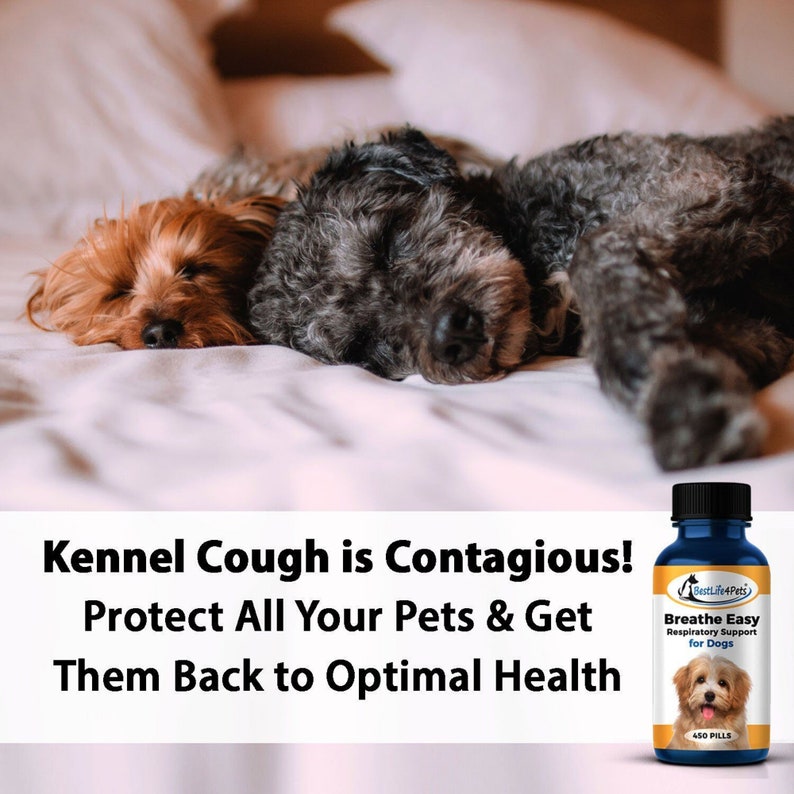 Breathe Easy Respiratory Support for Dogs Naturally Soothes Kennel