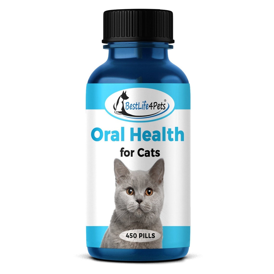 Oral Health for Cats Dental Treatment Stomatitis Degenerative Etsy
