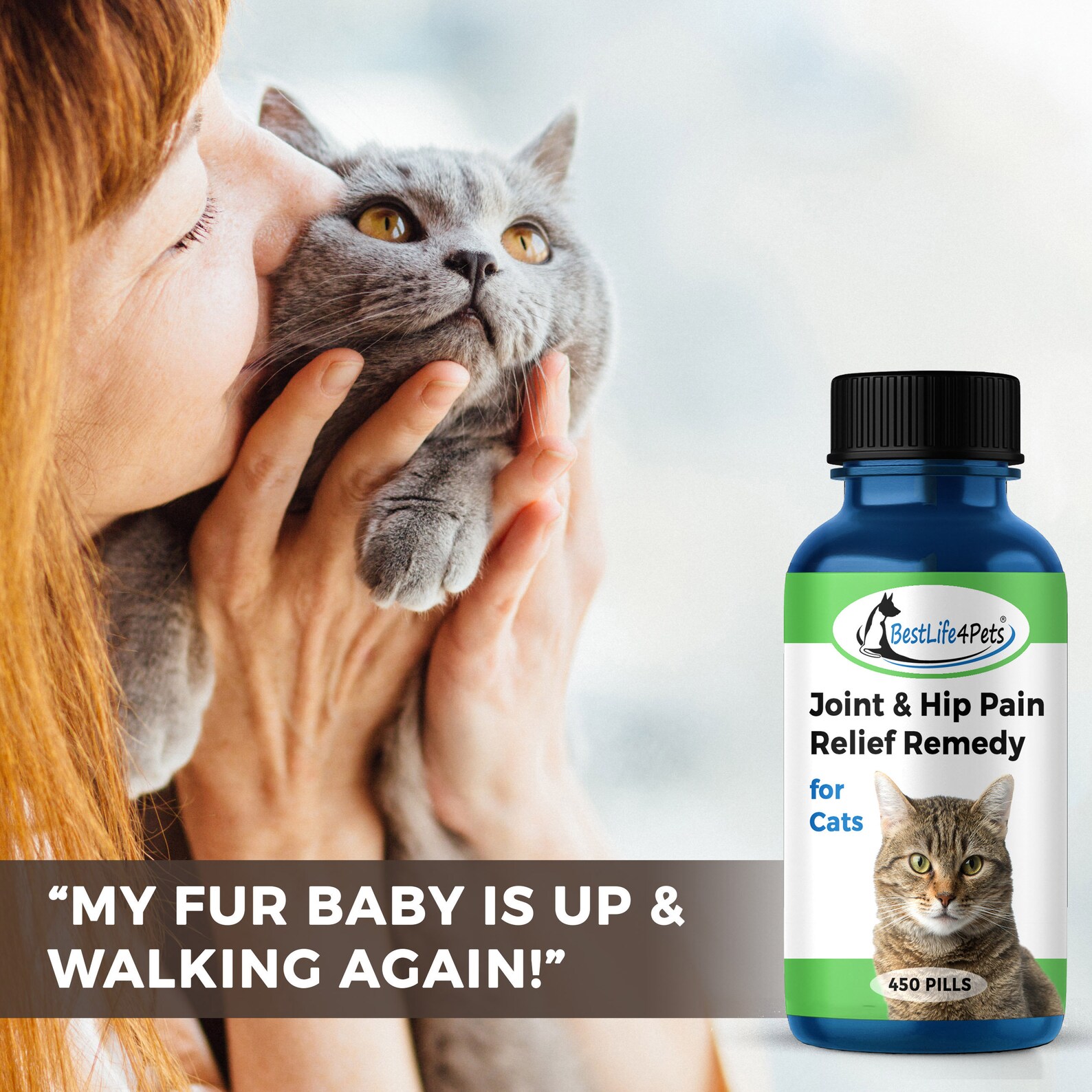 Cat Hip and Joint Pain Relief Effective Antiinflammatory Etsy