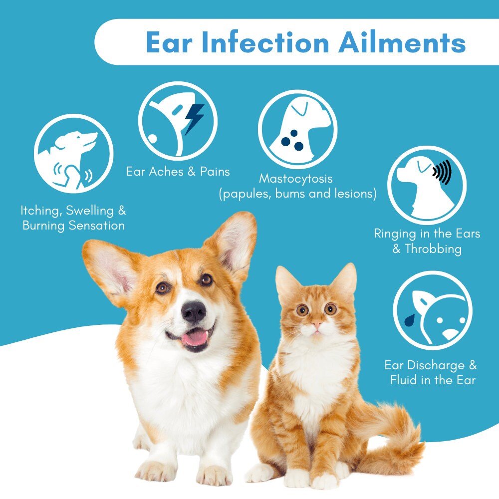 Ear Infection Treatment for Dogs and Cats Etsy