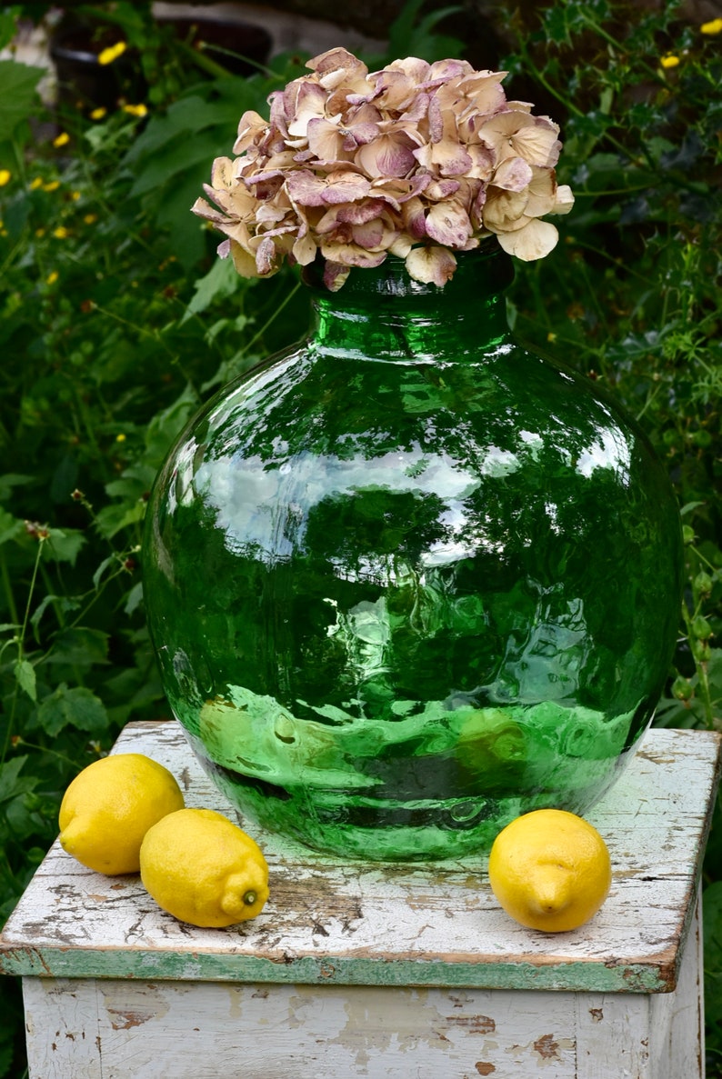 Vintage Viresa Green Bottle Garden / Carboy / Terrarium / Etsy