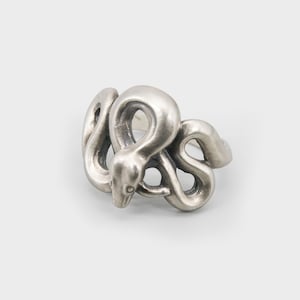 Könnte beinhalten: Ein silberner Schlangenring mit einem detaillierten Design. Die Schlange ist zusammengerollt und ihr Kopf zeigt nach vorne.