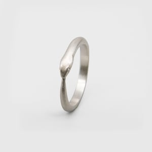 May include: A silver snake ring with a detailed head and a smooth band.
